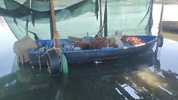 Mercato illegale delle cozze: &ldquo;Sistema fuori controllo e rischi per la salute&rdquo;. Le foto