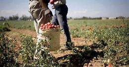 Caldo torrido, stop al lavoro nei campi