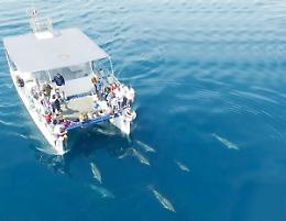 “Dominate the water” a bordo del catamarano della Jdc
