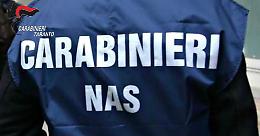 Controlli del Nas in ristoranti e strutture ricettive: sequestrati 375 kg di alimenti e sospese attività irregolari