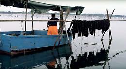 Taranto e le sue cozze tra gli “eroi del cibo” di Slow Food