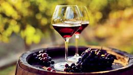 Allarme viticoltori: la demonizzazione dell'alcol mette a rischio il settore