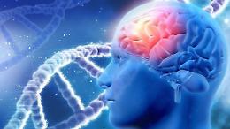 Le demenze: nuove strategie diagnostiche e terapeutiche
