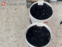 Sequestro di oloturie, scatta il reato di disastro ambientale