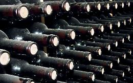Finanziamento Google a cantine sociali joniche