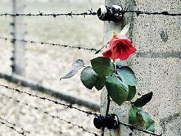 Giornata della Memoria, le iniziative in prefettura