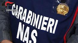 Gravi carenze igieniche, chiuso dai carabinieri del Nas un panificio 