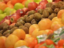 Dazi americani, rischio crollo per olio, vino e frutta