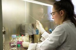 8 marzo, in Italia 34% ricercatori &egrave; donna e 12% ai vertici, per chi diventa mamma 'pregiudizi e penalizzazioni'