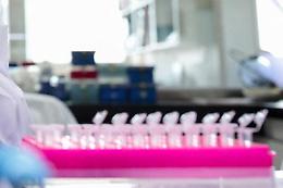 Staminali contro il Parkinson, in Giappone via libera al primo trattamento