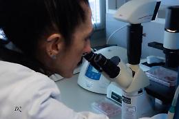 Malattie rare, scoperta nuova patologia genetica nei bimbi