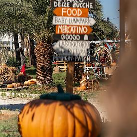 Gallipoli: al Raffo Parco Gondar l'autunno si veste di magia con "Il parco delle zucche"