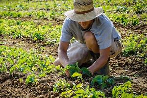 Emergenza caldo, la Cgil chiede lo stop al lavoro all’aperto nelle ore più critiche