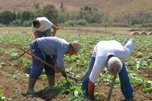 "Chi lavora la terra non può pagare il prezzo della guerra"