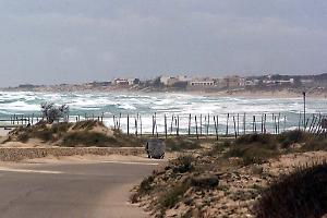 Erosione delle coste, Borraccino: “La Regione rafforza gli interventi con ricerca e nuovi fondi”