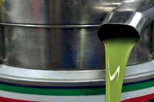 Olio extravergine, prezzi stabili e guerra alle fake news