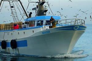 Acquacoltura, in arrivo 5 milioni per le imprese