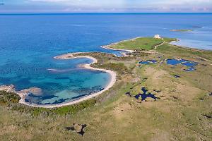 Torre Guaceto, avviso per le nomine di 2 rappresentanti del Comune