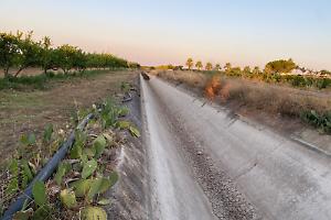 Allarme siccità nel Tarantino, la Cia Due Mari: “Subito acqua per salvare le coltivazioni”