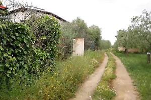 Confiscati ville, terreni e auto di lusso agli eredi del boss Lattanzio