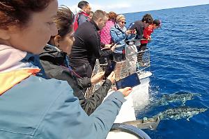 Taranto capitale della Blue Economy con "BioTourS 2.0"