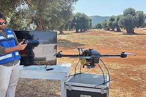Droni e satelliti in volo per combattere la Xylella. Le foto