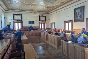 Xylella, quattro ulivi infetti nella zona Dolmen. Vertici e decisioni drastiche