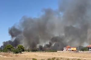 Emergenza caldo e incendi, Di Bello lancia l’allarme: “Serve un’ordinanza urgente”