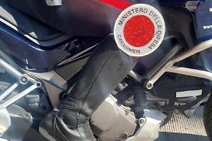 Raffica di controlli nella Bat: oltre 350 persone identificate e 60 multe elevate