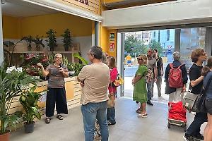 Piante da interno, alleate contro l’inquinamento domestico: l’iniziativa di Coldiretti