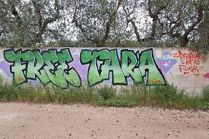 Rete difesa fiume Tara: richiesto un confronto urgente con il Sindaco Bitetti sul ricorso al TAR