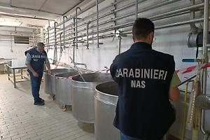 Sequestrati due centri lattiero-caseari: latte contaminato e presenza di listeria