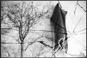 “War. Isn’t it?” di Gemma Rossi: la fotografia che racconta la guerra. Le foto