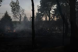 Incendio nella notte nella pineta di Pino di Lenne: ettari di macchia mediterranea in cenere