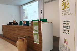 Olivicoltura biologica, il bilancio di Biolevo e le sfide per una filiera etica e sostenibile
