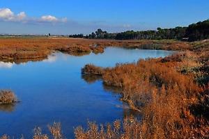 Il Fai riaccende l’impegno per il clima: Taranto tra natura, ricerca e comunità