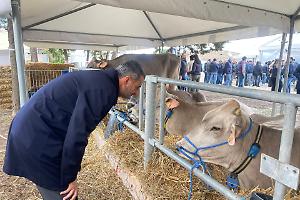 “Un programma per Tutta la Puglia”: il viaggio parte da Taranto per presentare gli obiettivi di governo regionale