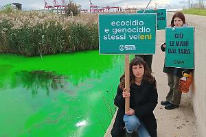 Extinction Rebellion colora di verde il fiume Tara: il video e le foto della protesta nazionale