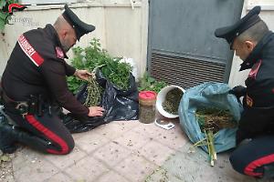 Oltre 7 chili di droga nascosta tra garage e cortile, arrestato un 51enne di Taranto