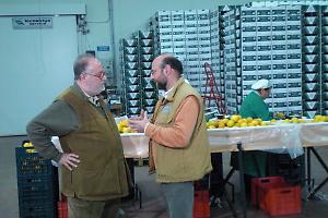 Palagiano su Canale 5, Melaverde racconta la stagione degli agrumi