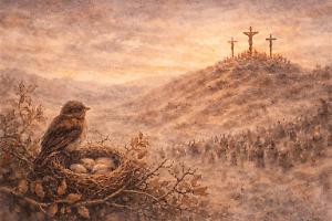 La leggenda del pettirosso