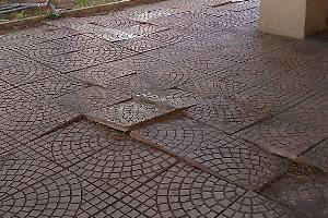 Radici dei pini sollevano i marciapiedi, appello del parroco al Comune