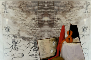 Al museo Majorano la visita teatralizzata sul tarantismo per la Giornata delle Donne