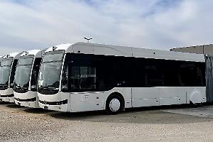 Ecco i primi 30 autobus Brt per rivoluzionare il trasporto urbano. Le foto