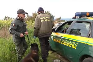 Caso Martucci, scavi senza esito a Tabarano