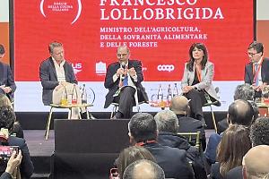 Elezioni anticipate, Lollobrigida frena: “Non risultano richieste nemmeno dall’opposizione”