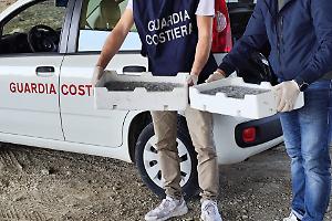 Novellame sequestrato, sequestri della Guardia Costiera