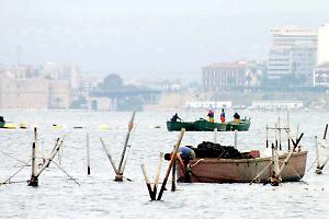 “Miti di Mare”, Taranto rilancia la mitilicoltura tra ambiente e cultura
