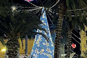 Natale Tarantino, preparativi in corso