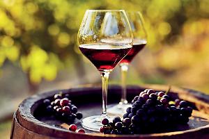 ZeroZero porta a Bari il vino senza compromessi